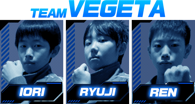 TEAM VEGETA